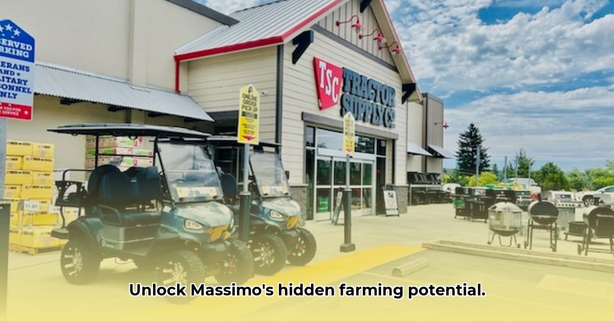 massimo-golf-cart-tractor-supply